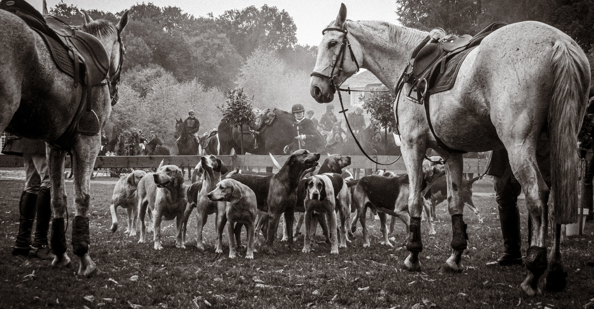 Schleppjagd_Druck-Anika Boerries-12-
